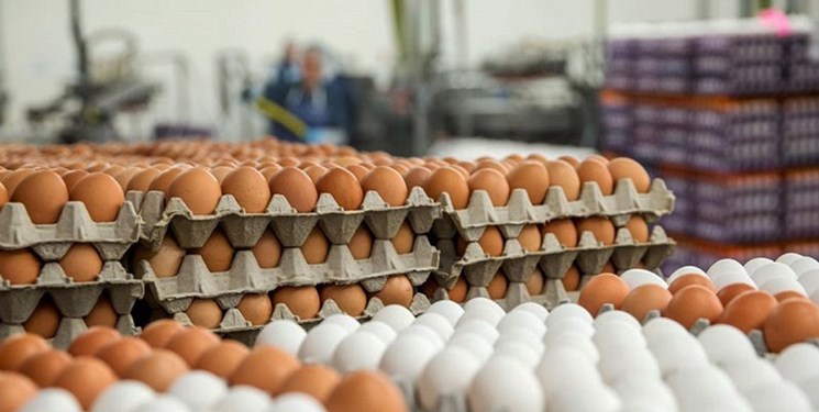 تخم‌مرغ همچنان در اوج/ چرا قول وزیر جهاد کشاورزی عملی نشد؟