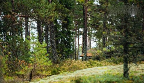 جزیره دختران در فنلاند که مردان اجازه ورود ندارند