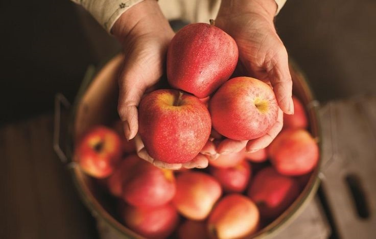  سیب درمانی معجزه آسا برای سلامت بدن