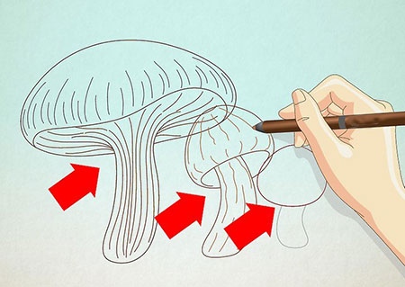 نقاشی قارچ,آموزش کشیدن نقاشی قارچ,آمورش گام به گام کشیدن قارچ