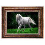 3042-white-horse-carpet.jpg