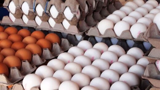 تخم مرغ ارزان چه زمان به بازار می آید؟