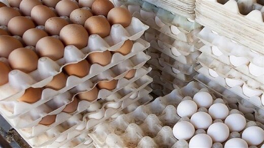 تخم مرغ شانه‌ای ۲۰ هزار تومان عرضه می‌شود